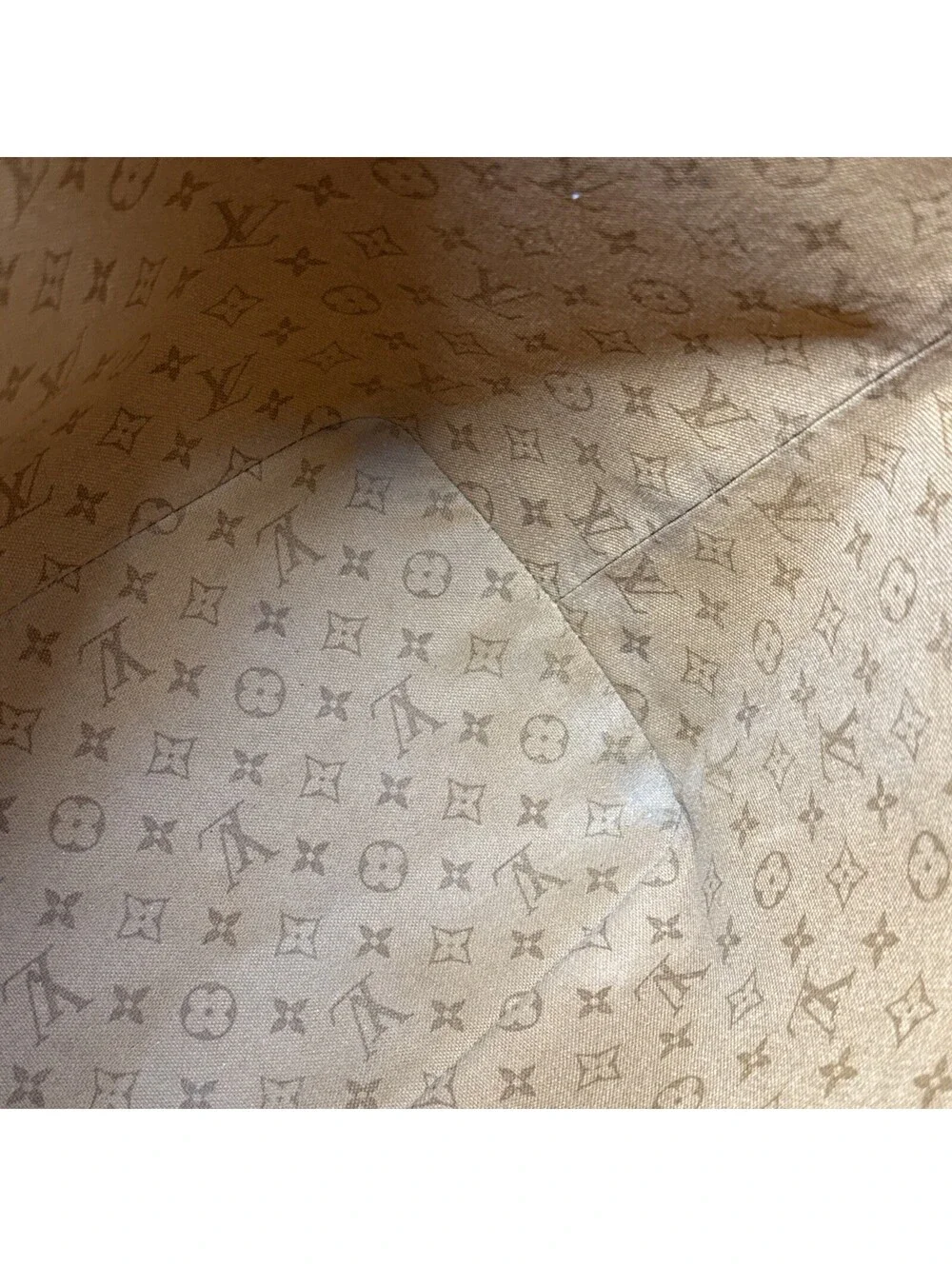 Louis Vuitton Crafty Monogram Neverful